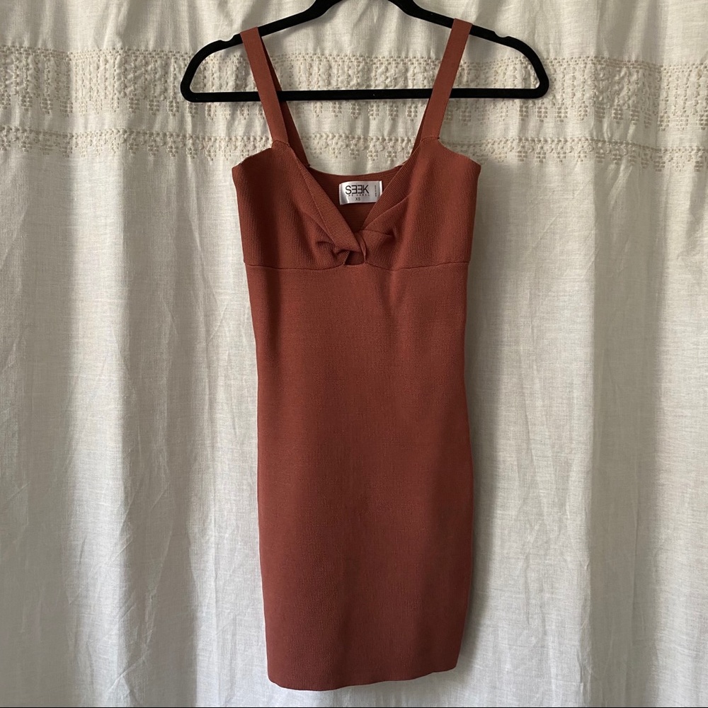 LF bodycon dress